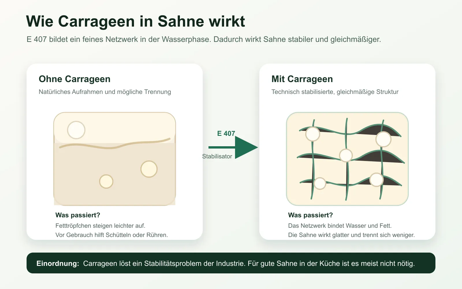 Infographic: cream without carrageenan separates more naturally, cream with carrageenan is stabilized by a network